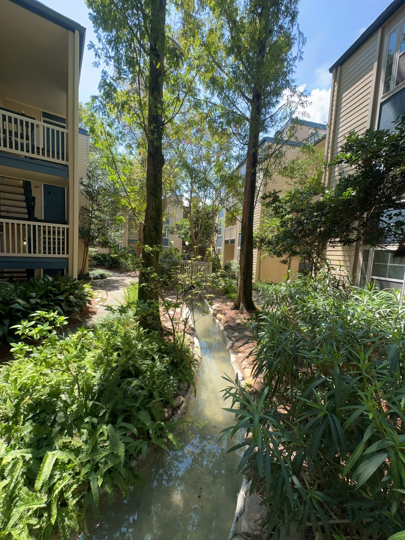 Creek water feature running through a central apartment courtyard