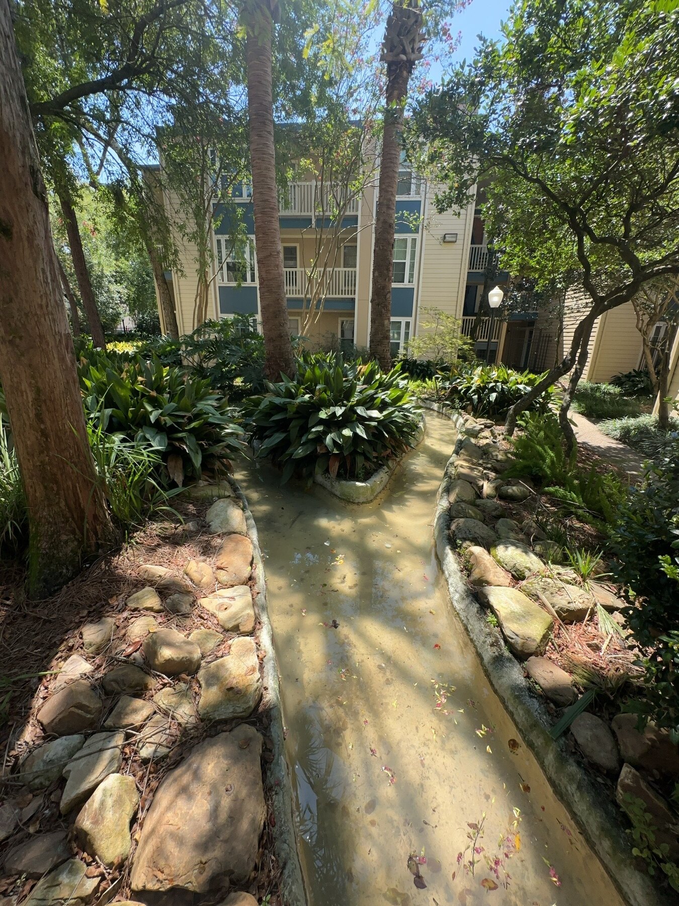 Branching creek channel surrounded by landscaped apartment grounds