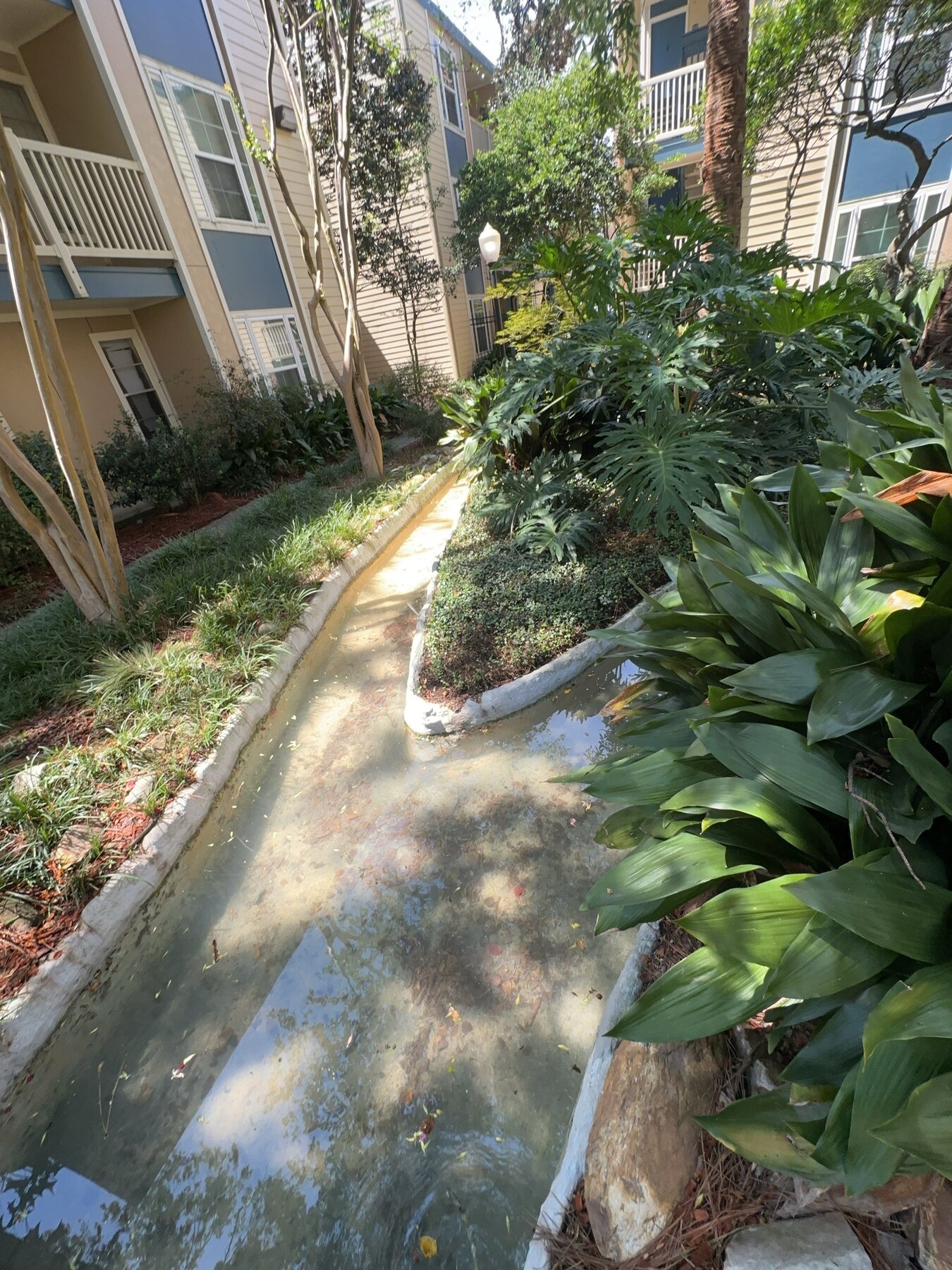 Curved section of the commercial creek water feature beside apartment buildings