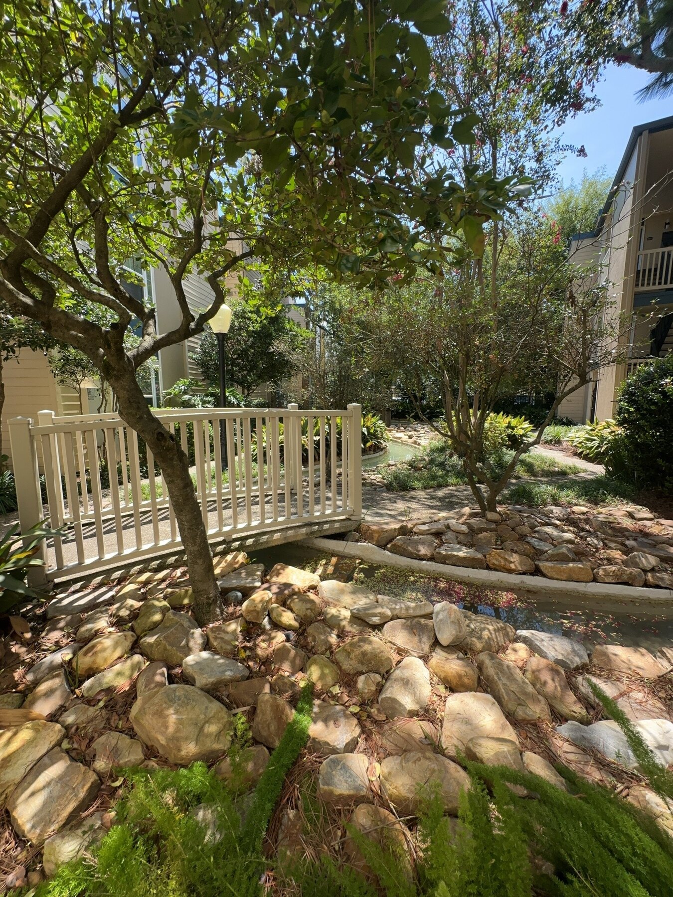 Rock-lined creek channel winding through the apartment complex
